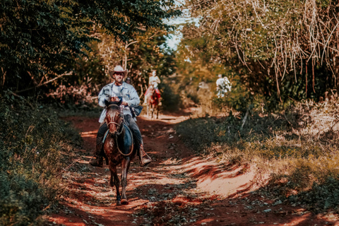 Westford: Western Trail Horse Riding with Private Option Public - Western Trail Horse Riding