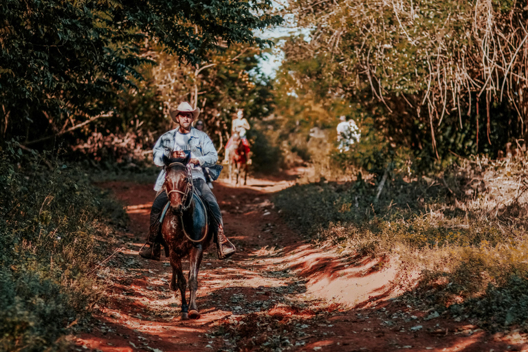 Westford: Western Trail Horse Riding with Private Option Public - Western Trail Horse Riding