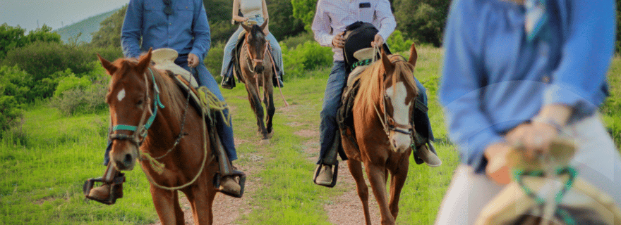 Promenade à cheval dans les collines de Guanajuato