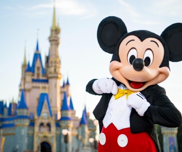 Orlando: Walt Disney World Tickets – 1 Park per Day