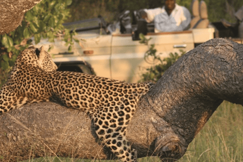 Chobe National Park 2-Day Safari with Transfers
