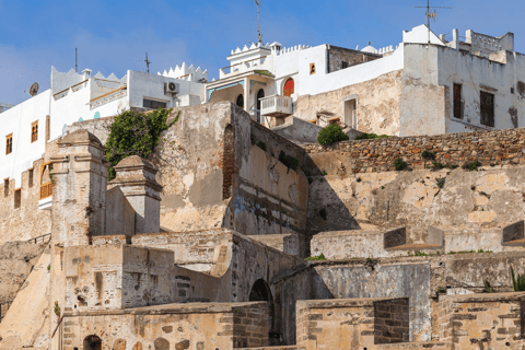 Tangier Day Trip from Rabat with Free Camel Ride