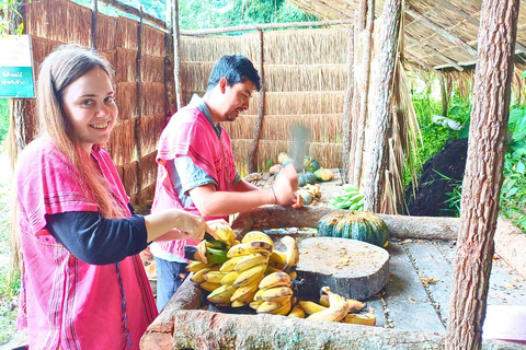 Chiang Mai: Elephant Observation & Wang River Bamboo Rafting