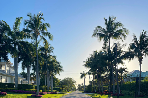 Naples Florida: Downtown Electric Moped Tour - Fun For All