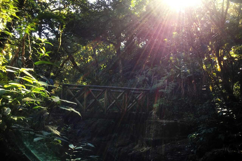 Kandy: Hidden Jungle Infinity Pool & Waterfall Expedition