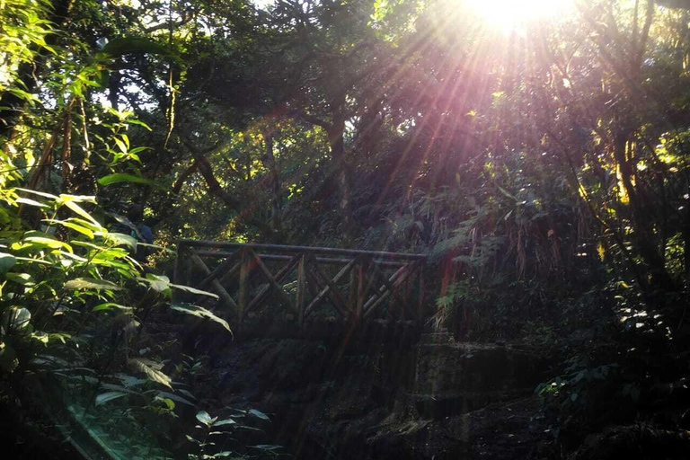 Kandy: Hidden Jungle Infinity Pool & Waterfall Expedition