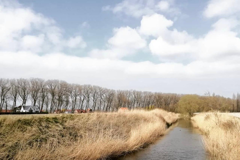 From Bruges: Half-Day Guided E-Bike Tour to Dutch border