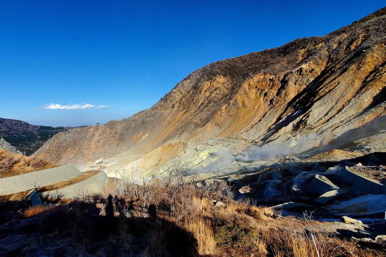 Mount Fuji & Hakone Full-Day Private Tour (Customizable) Hakone & Mount Fuji Tour w/English speaking guide