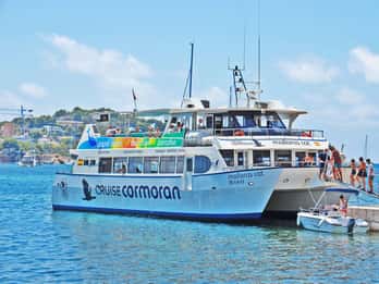 Mallorca: Kustkryssning med katamaran och lunch