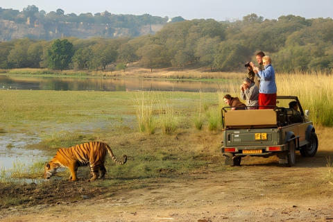 Desde Jaipur : Excursión de 2 días en coche al Safari del Tigre de RanthamboreSólo transporte privado en CA y guía turístico