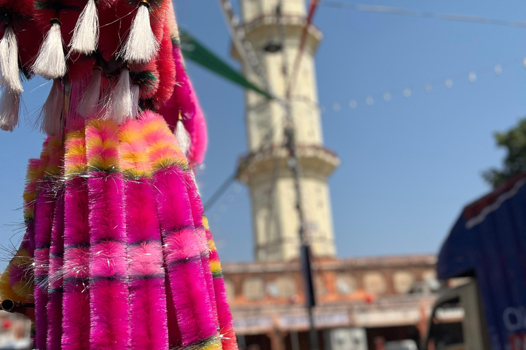 Jaipur: Full-Day Pink City Tour with Masala Tea Tour by Car and Driver with a Guide