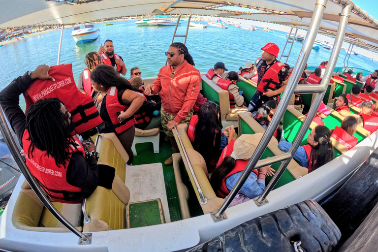 Paracas, Ballestas Islands, & Paracas National Reserve Tour from Ica