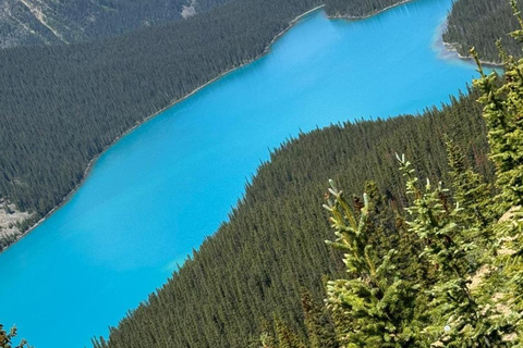 ColumbiaIcefield,CrowfootGlacierPyeto,Bow Lake&amp;Waterfowllake