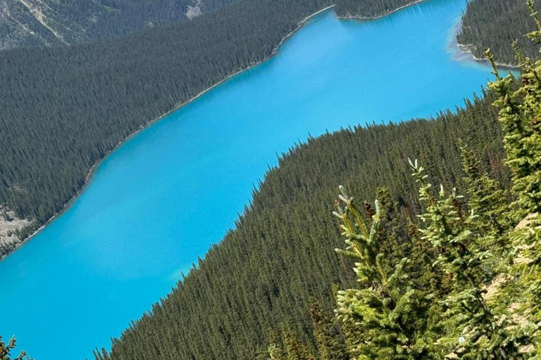 ColumbiaIcefield,CrowfootGlacierPyeto,Bow Lake&amp;Waterfowllake