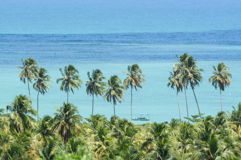 Traslado particular de Recife para São Miguel dos Milagres