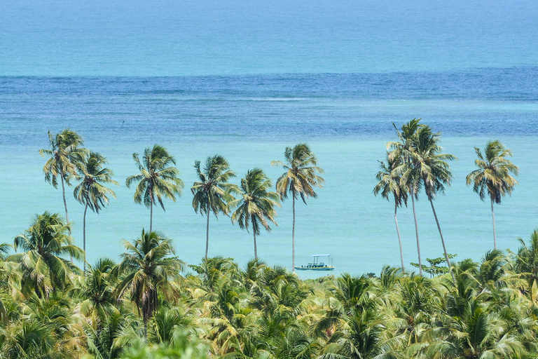 Traslado privado de Recife a Sao Miguel dos MilagresTraslado privado de Recife a São Miguel dos Milagres