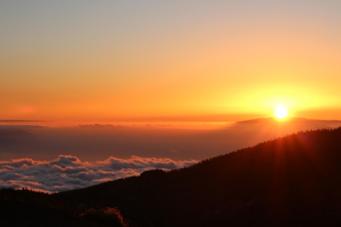 Teneriffa: Teide Familienbuggy Vulkan bei Tag und SonnenuntergangTeneriffa: Teide-Familien-Buggy-Vulkanexkursion