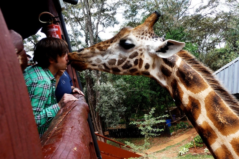Nairobi : Parc national, orphelinat des éléphants et centre des girafes