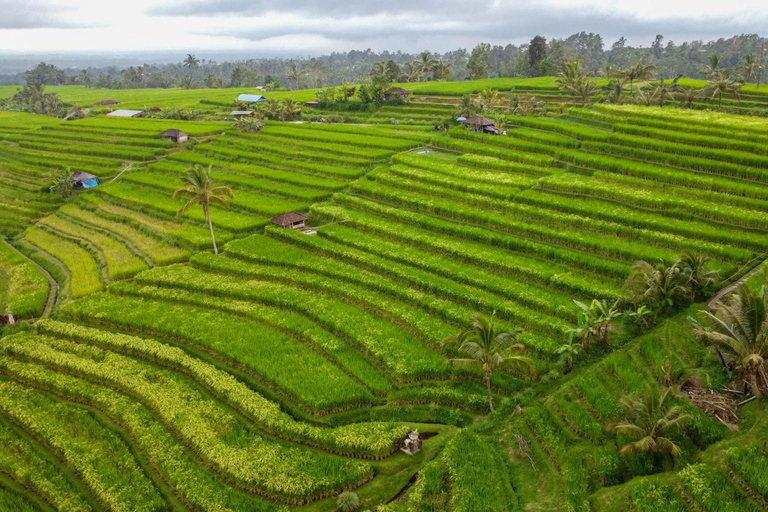 Bali: Floating Temple, Jatiluwih & Hidden Waterfall Private- All Inclusive