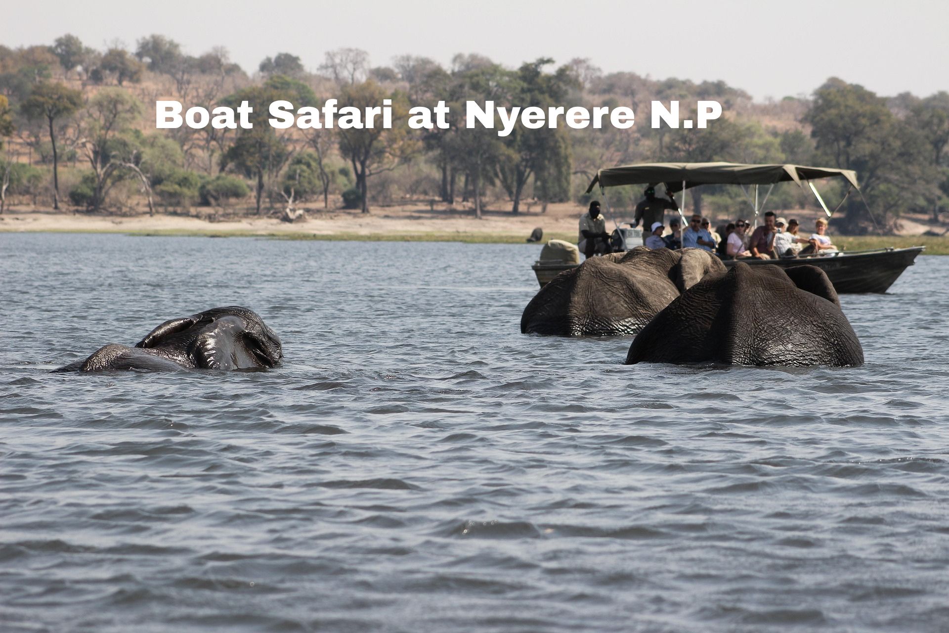 Ab Sansibar: 2-tägige Safari zum Nyerere-Nationalpark und Bootssafari