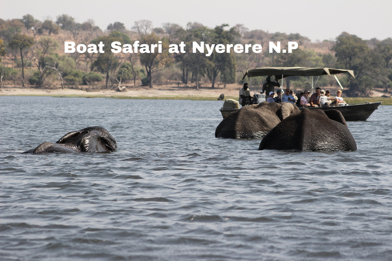 Zanzibar: 2 Days Fly-in Safari to Nyerere N.P & Boat Safari