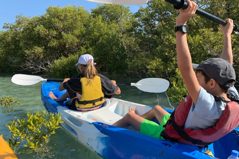 Eco-aventure guidée en kayak de mangrove à Purple IslandEco-aventure guidée en kayak dans la mangrove - Purple Island