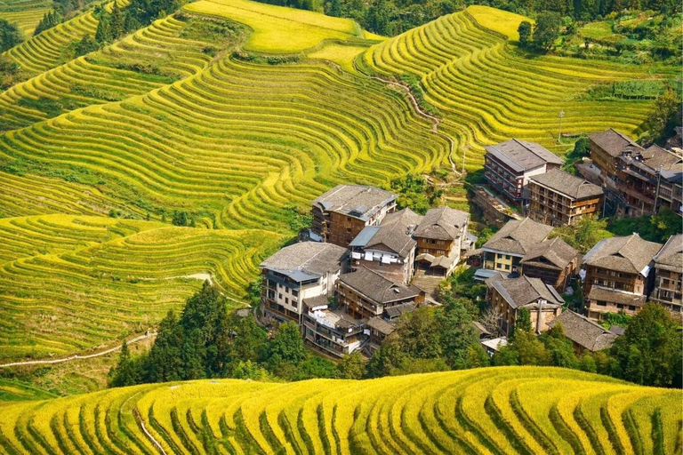 Guilin Longji: Rice Terrace with Oil-Tea Demo &amp; Zhuang Lunch