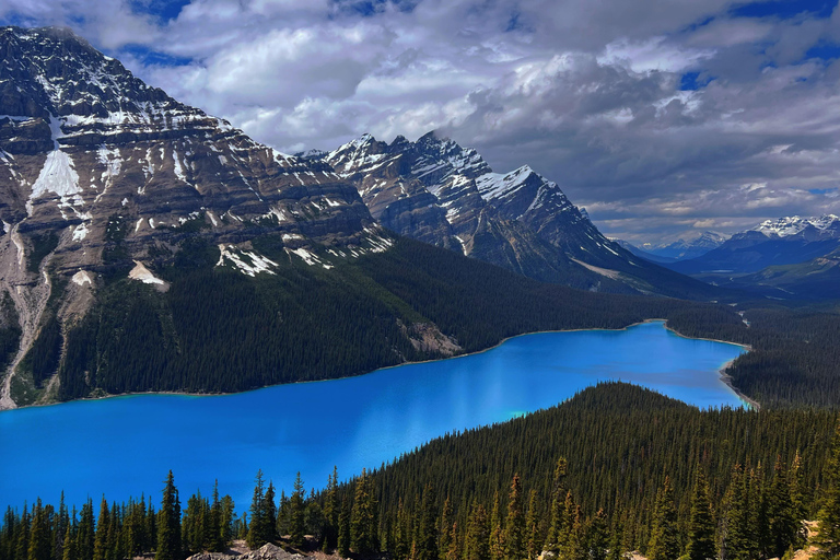 Private Day Tour - Lake Moraine,Louise,Peyto+Johnston Canyon private mini bus 14