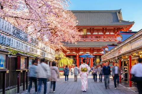 Tokyo: Tsukiji Market + Sensoji Temple: Food & Culture Tour