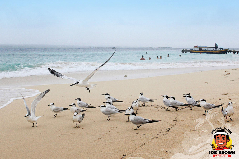 Paradise Unveiled: Discover the Enchanting San Blas Islands