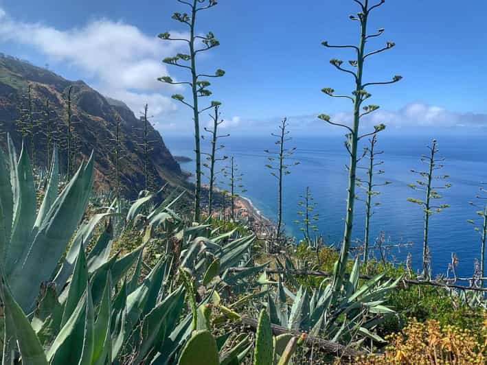 Madeira: Paul do Mar Guided Hike
