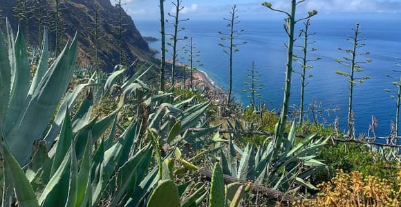 Madeira: Southwest Coastal Hike - Paul do Mar