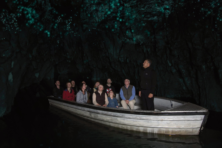 Au départ d&#039;Auckland : Visite des grottes de Waitomo avec transfert