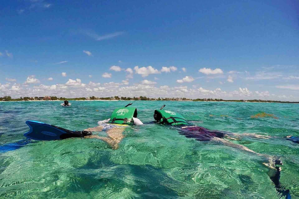 From Tulum: Cenote Riviera Maya & Snorkel Excursion | GetYourGuide
