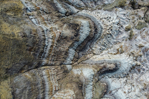 Drumheller: Dinosaurs, Museum, & Hoodoos Day Tour 8:20am Delta Calgary Downtown Pickup