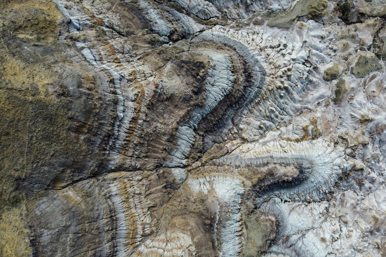 Drumheller: Dinosaurs, Museum, & Hoodoos Day Tour 8:20am Delta Calgary Downtown Pickup