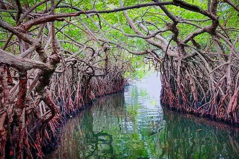 Jednodniowa wycieczka do Galle i Bentoty z Kolombo lub Negombo