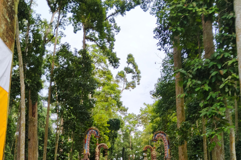 Bali: Amazing Waterfall, Monkey forest and Tample Tour