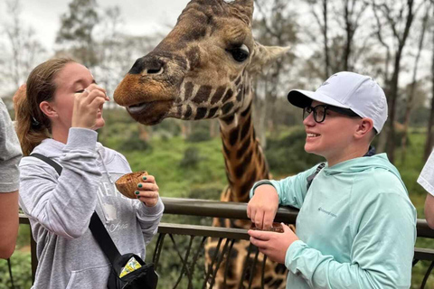 Nairobi: Giraffe Feeding & Photography Experience