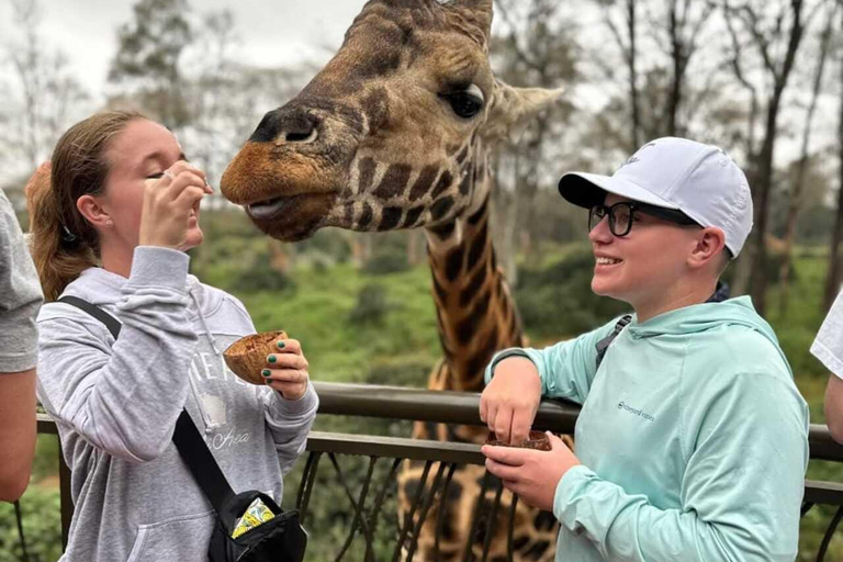 Nairobi: Giraffe Feeding & Photography Experience