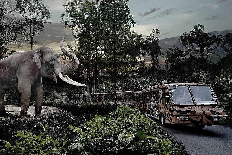 Night Safari Entry Ticket with Show