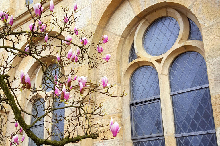 Osnabrück : Visite à pied de l&#039;hôtel de ville et de la vieille ville Activité