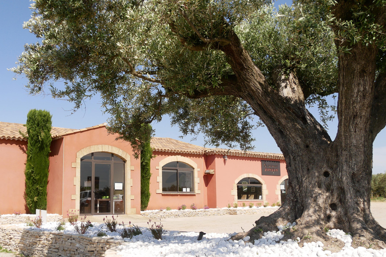 Saint Gilles: Tour of an olive oil mill in an organic olive grove Saint Gilles: Tour of an olive oil mill in an organic olive grove