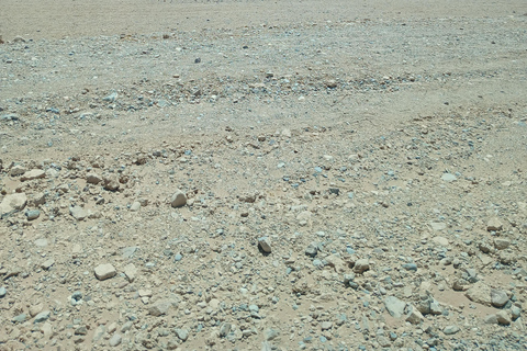 Walvis Bay to Swakopmund Tour: Coastal Gems & Desert Magic