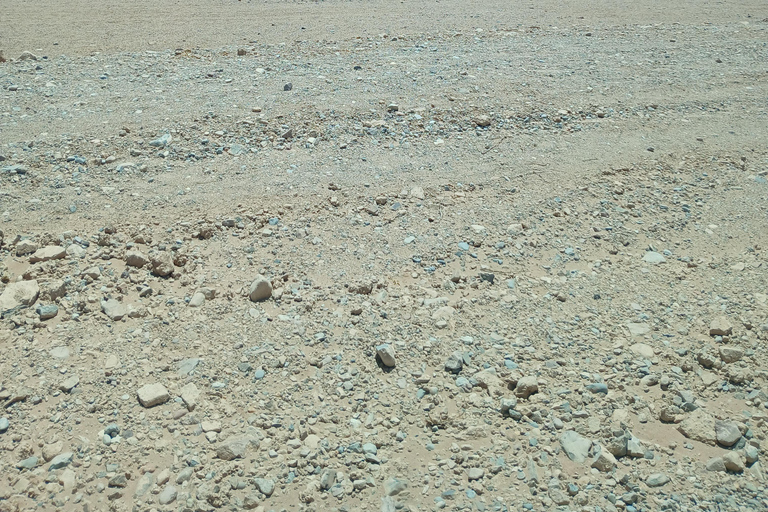 Walvis Bay to Swakopmund Tour: Coastal Gems & Desert Magic