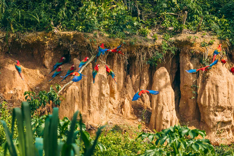 Cusco: Manu Cultural Zone 4-Day Photography Experience