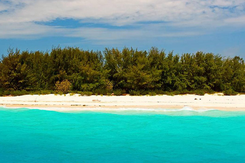 Mnemba-Insel und Delfin-Tour ab Matemwe