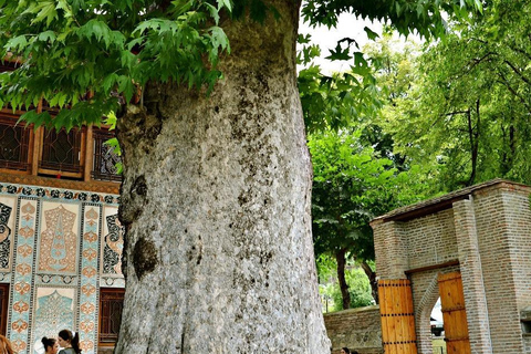 Find Your Luck: 2-Day Sheki Tour with Tree of Fortune Ritual