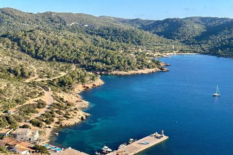 Private Catamaran Cruise | South Mallorca Half Day Experience