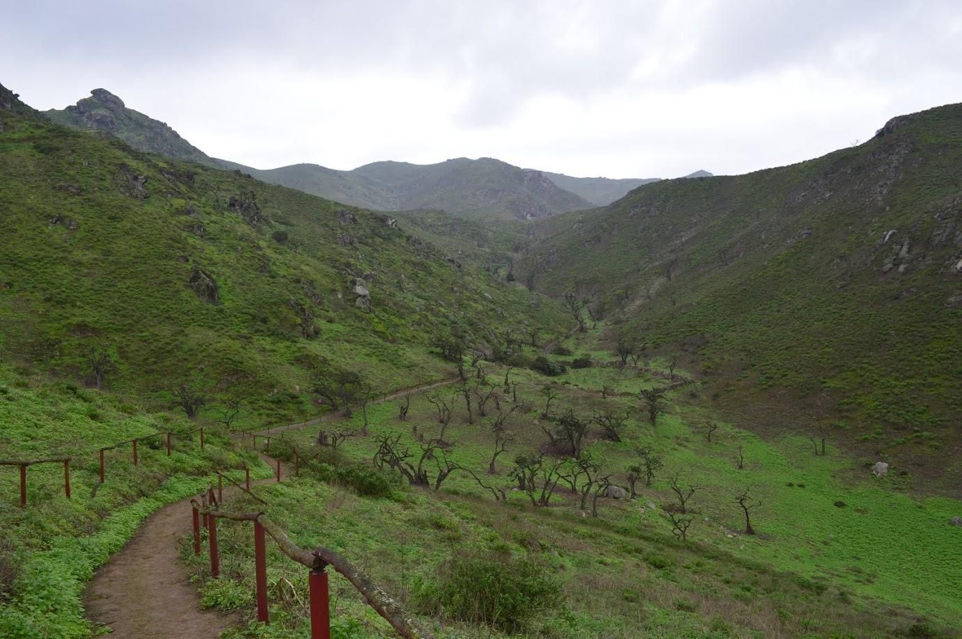 Lima: Geführte Wanderung in Lomas de Lachay mit Picknick & Transfers